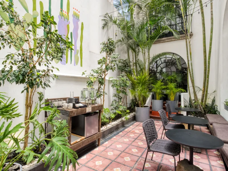 Planted Roma Norte courtyard in Mexico City, terracotta tile and cafe tables