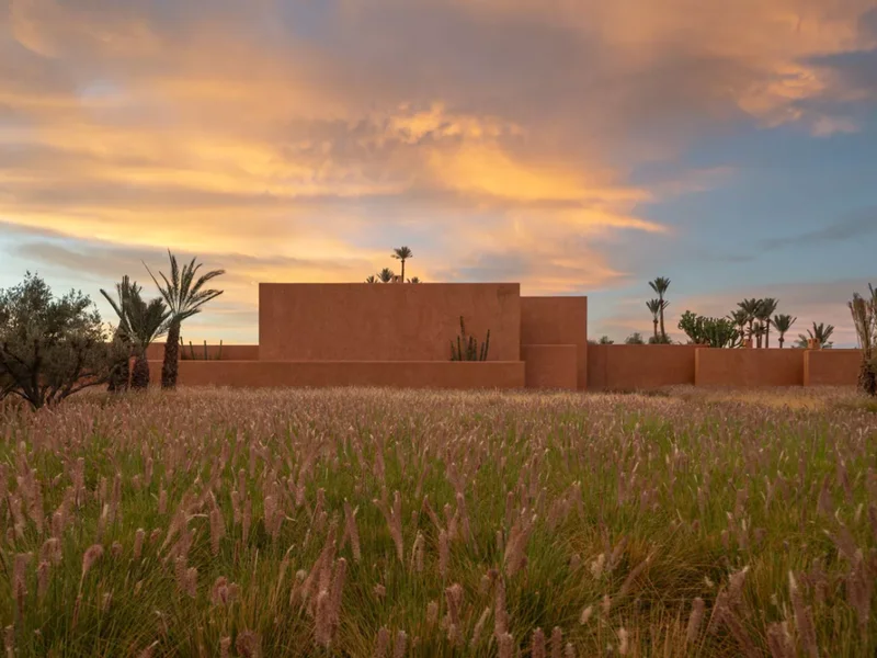 Sunset over the ochre perimeter walls of a Marrakech villa, a meadow of pink feather grass in bloom and date palms against a low evening sky